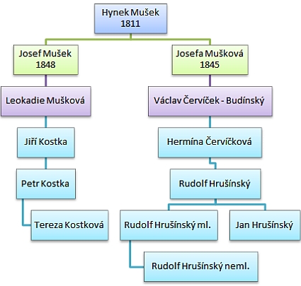 Hynek Mušek, Tereza Kostková, Jan Hrušínský - rodokmen